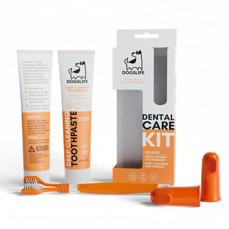 DogsLife Zahnpflegeset (Dreifach- und Fingerzahnbürste, Zahnpasta)