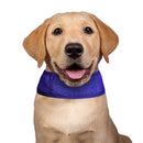 Aqua Coolkeeper Cooling Collar für Hunde im Sale