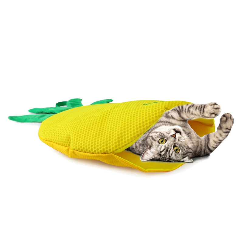 AFP Playmat Erdbeere und Ananas für Katzen im Sale