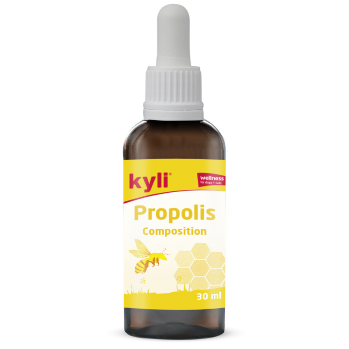 Kyli Propolis Composition