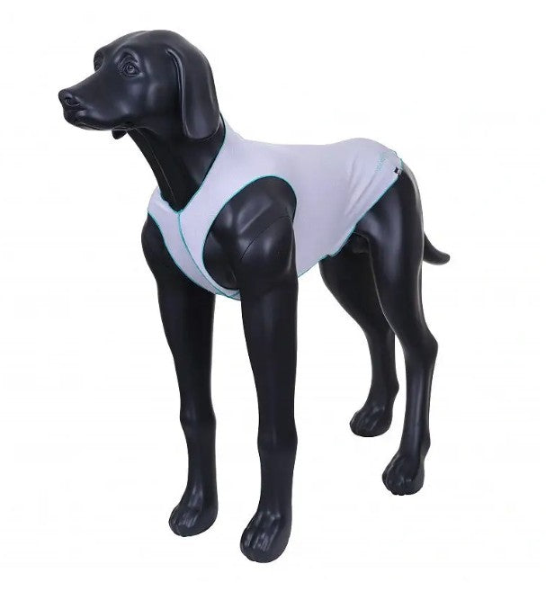 Rukka Sunny UV Protection T-Shirt für Hunde im Sale