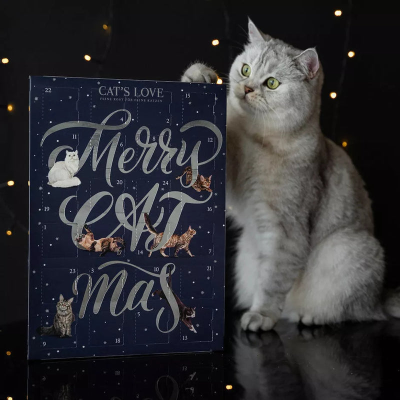 Cat’s Love Adventskalender 2024 - limitiert -