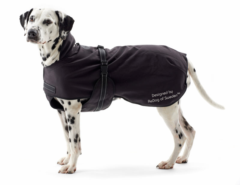 Kruuse Rehab Softshell-Hundemantel im Sale