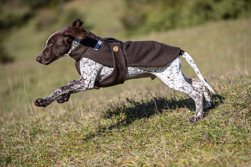 Von Hohenstein Lodenmantel für Hunde