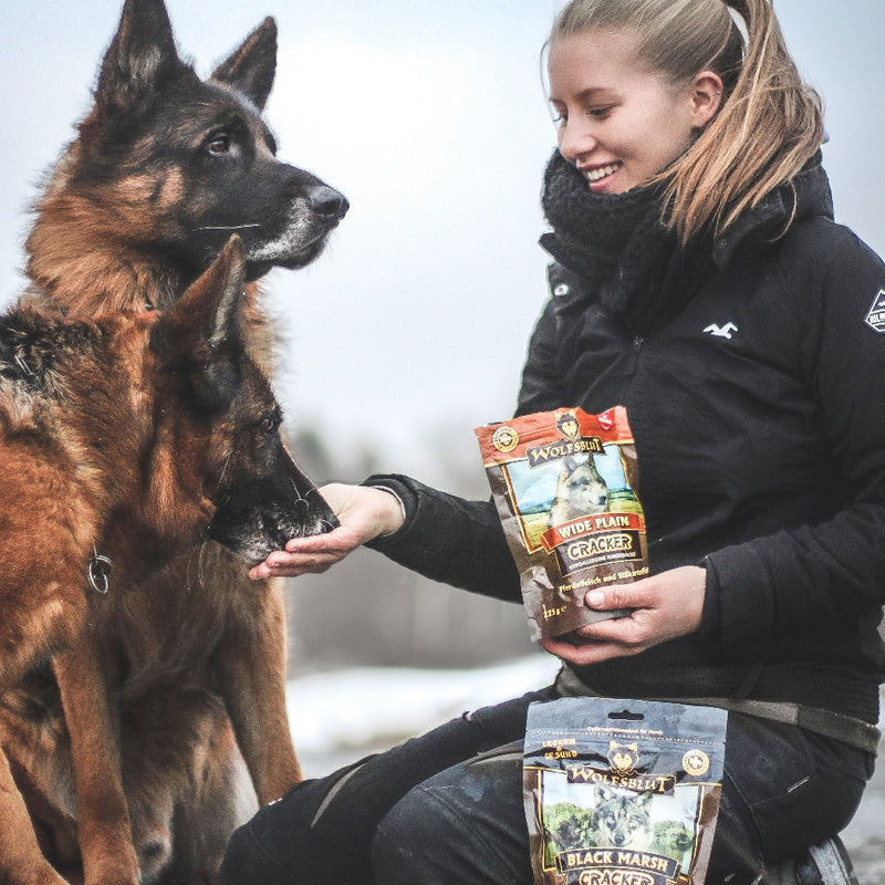 Wolfsblut Cracker Wide Plain - Pferdefleisch & Süsskartoffel für Hunde