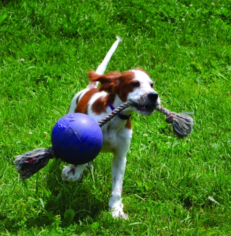 Jolly Pets - Ball Romp-n-Roll Blau