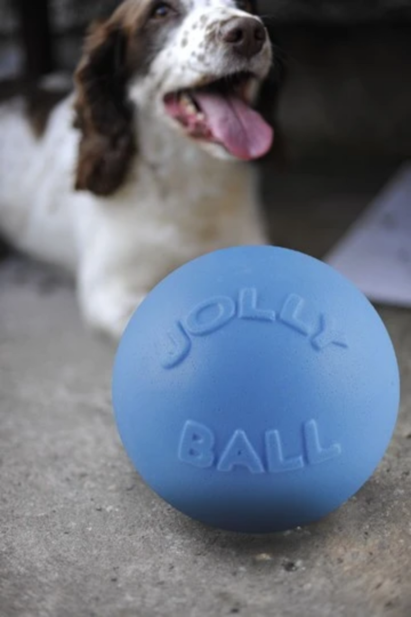Jolly Pets - Ball Bounce-n-Play Hellblau