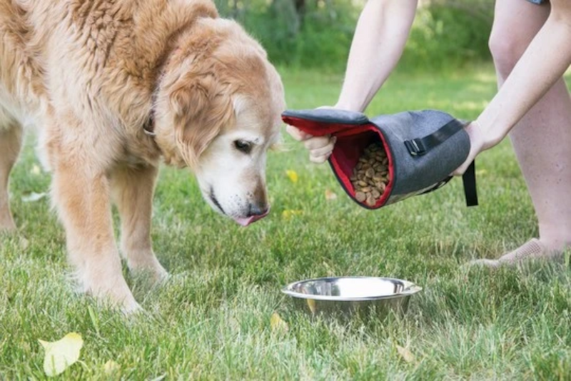 Kong Kibble Storage Bag