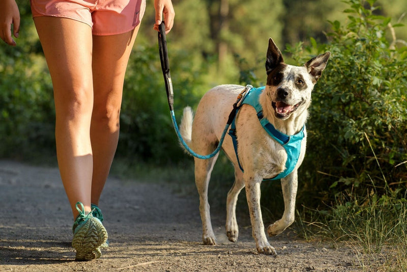 Ruffwear Hi & Light Lightweight Dog Harness für kleine Hunde