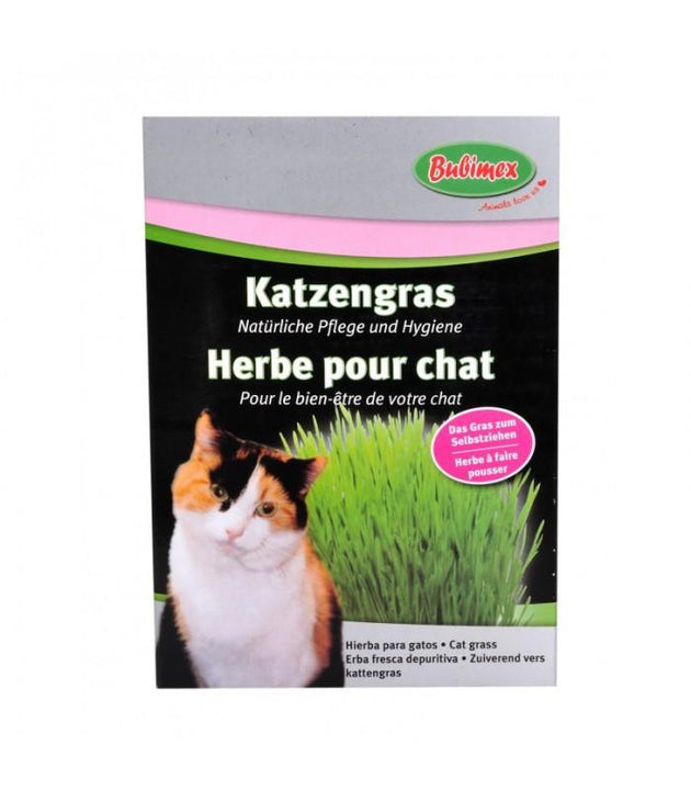 Bubimex Katzengras