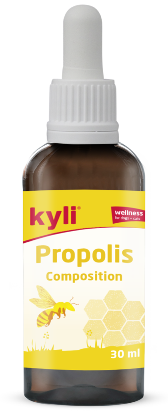 Kyli Propolis Composition