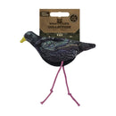 - NEU - Wild Life Cat Starling - pieper tier-gourmet