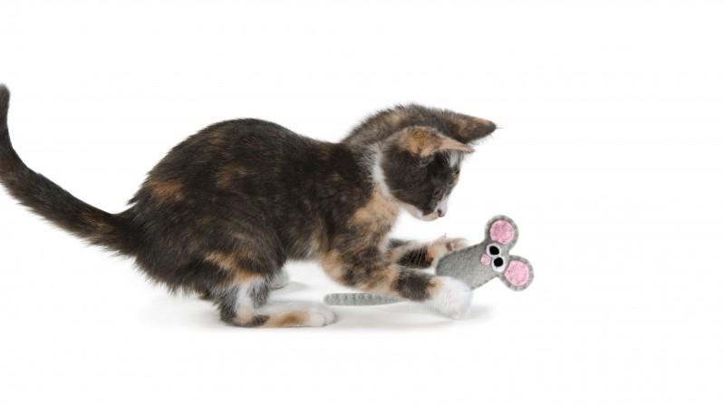 Petstages Catnip Felt Mini Mice - pieper tier-gourmet