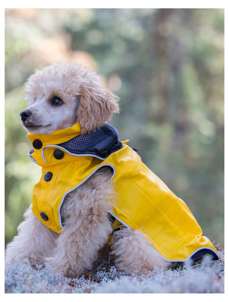Rukka Hunde Regen-Mantel Stream - pieper tier-gourmet